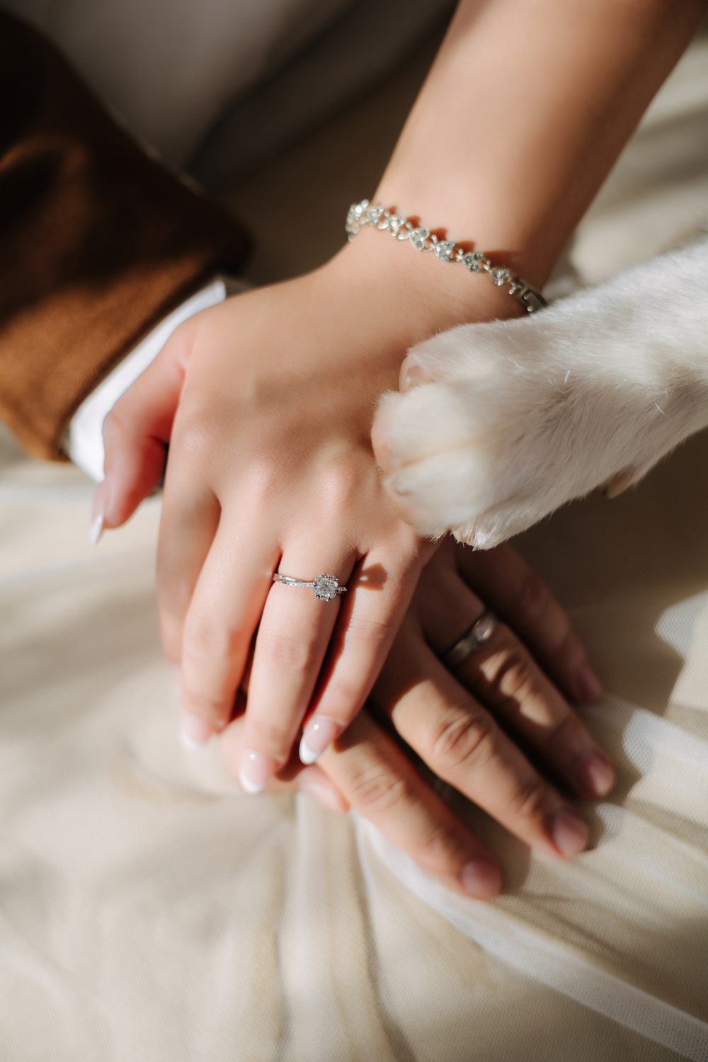 มือของรัตน์และป็อบที่สวมแหวน กับอุ้งเท้าของล่ำซำ